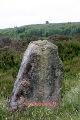 FOTOSTEIN KREIS LONGSHAW NACHLASS DIES IST DER OFFENSICHTLICHSTE STEIN IM KREIS