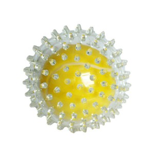 spiky dog ball