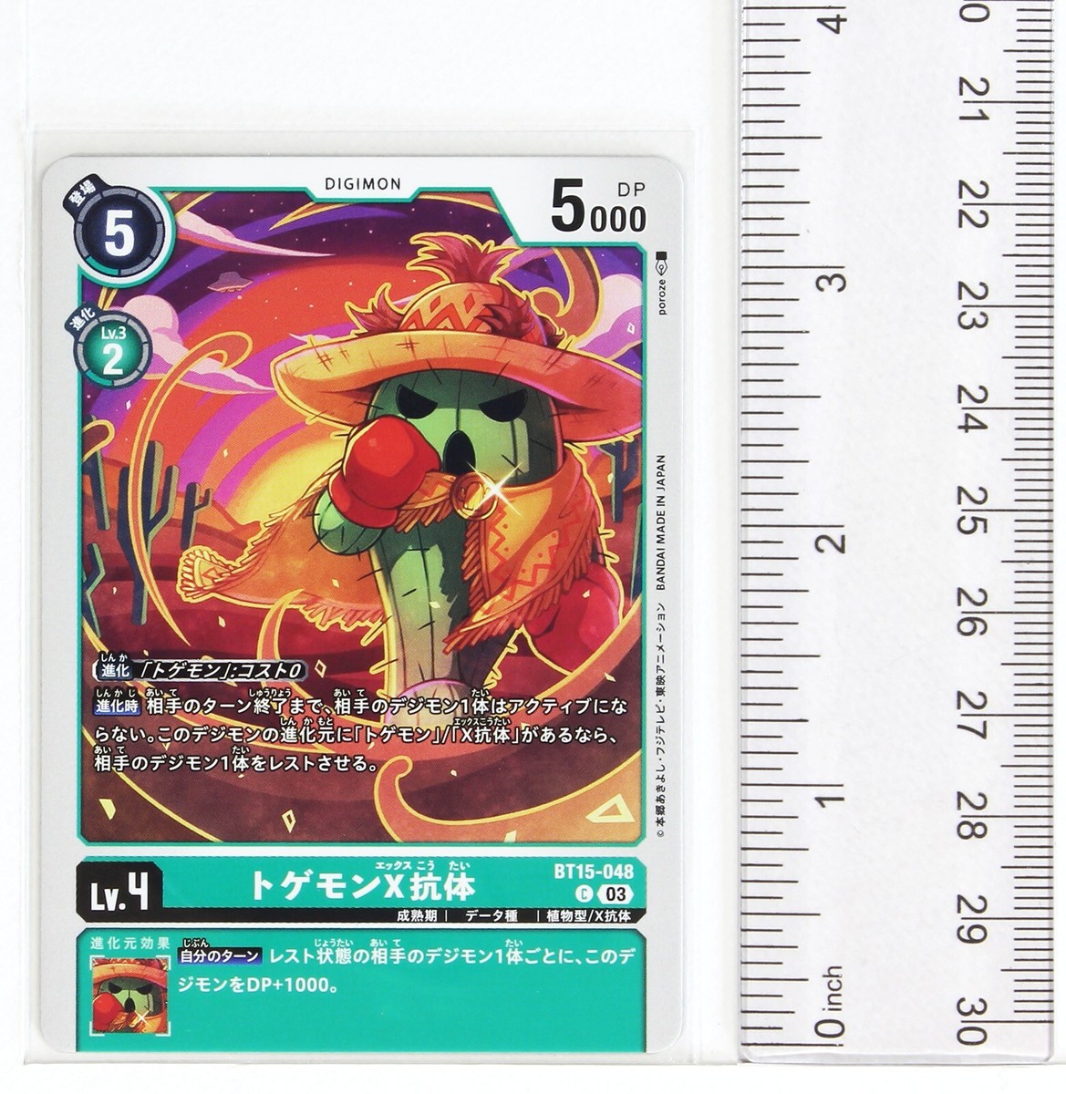 totomonページ s-l1200.jpg