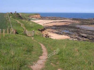 Foto 6x4 St Oswald's Way above Howick Haven Howick\/NU2517 St Oswald c2010