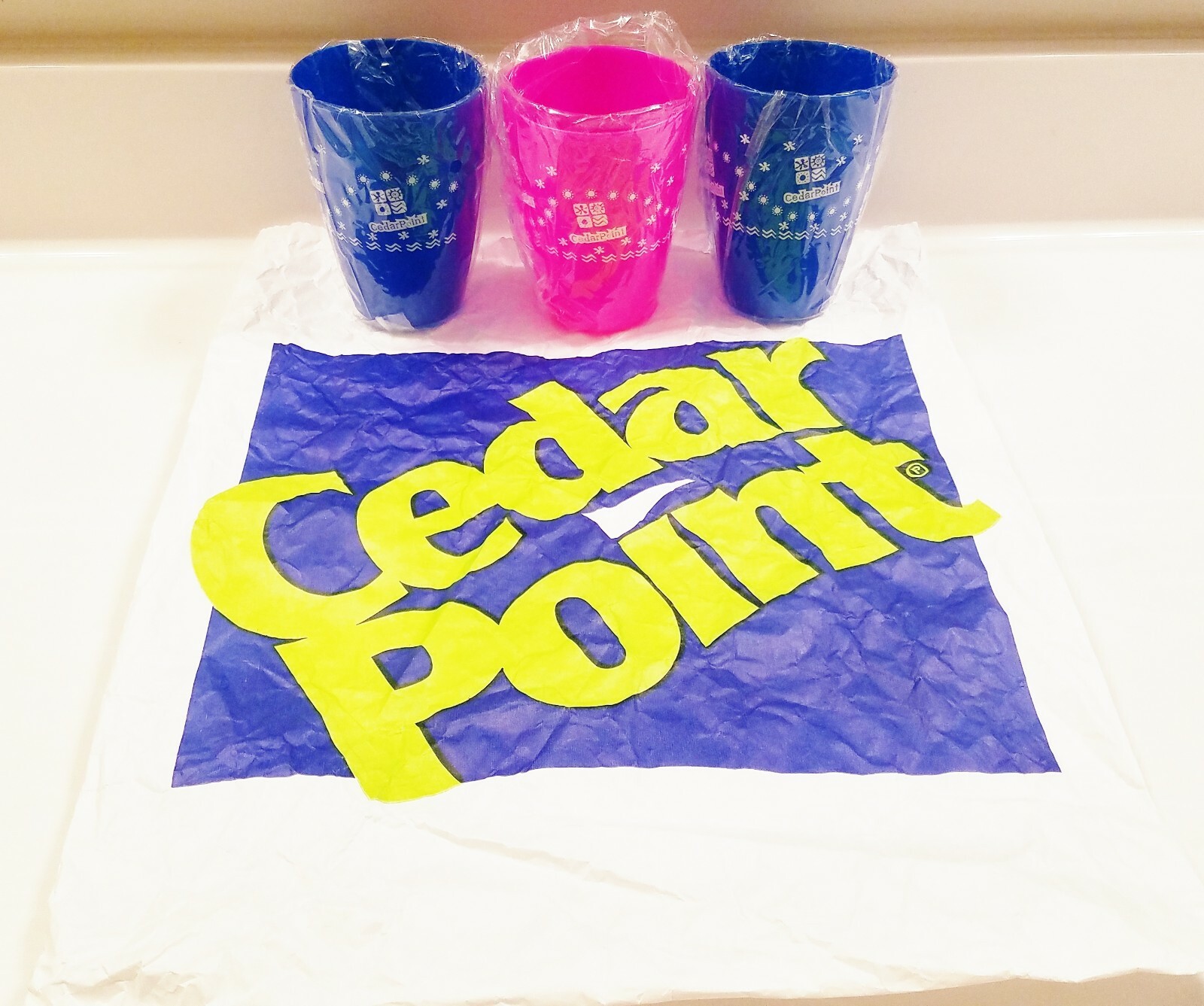 3 Cedar Point 5