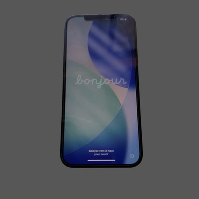 Apple iPhone 12 Pro Max 256GB Pacific Blue   Unlocked   Excellent Condition