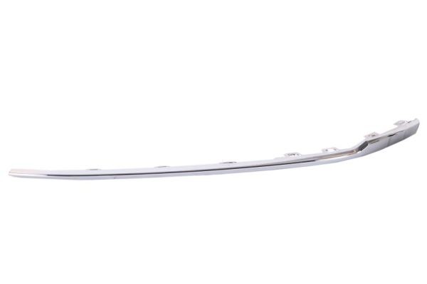Left Front BLIC 6502-07-9589923P Trim/Protection Strip, bumper for VW
