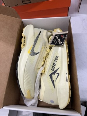 Nike Pegasus Trail 5 Gore-Tex Alabaster FQ0908-700 Men display picture 1