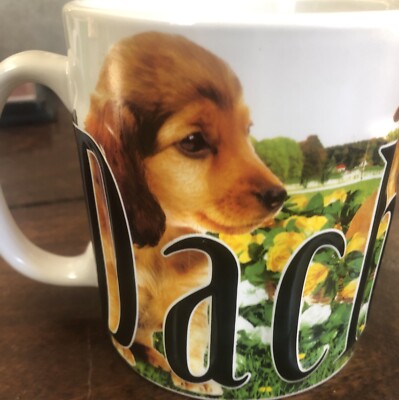 Americaware Dachshund My Pet Mug Color Relief Large Stoneware Coffee  Cup/New 14 | eBay