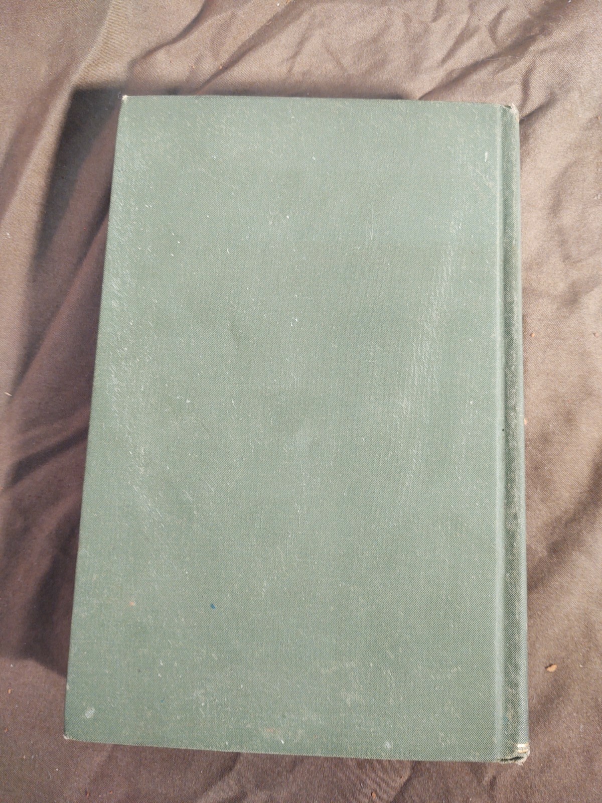 Picture 7 of 12
