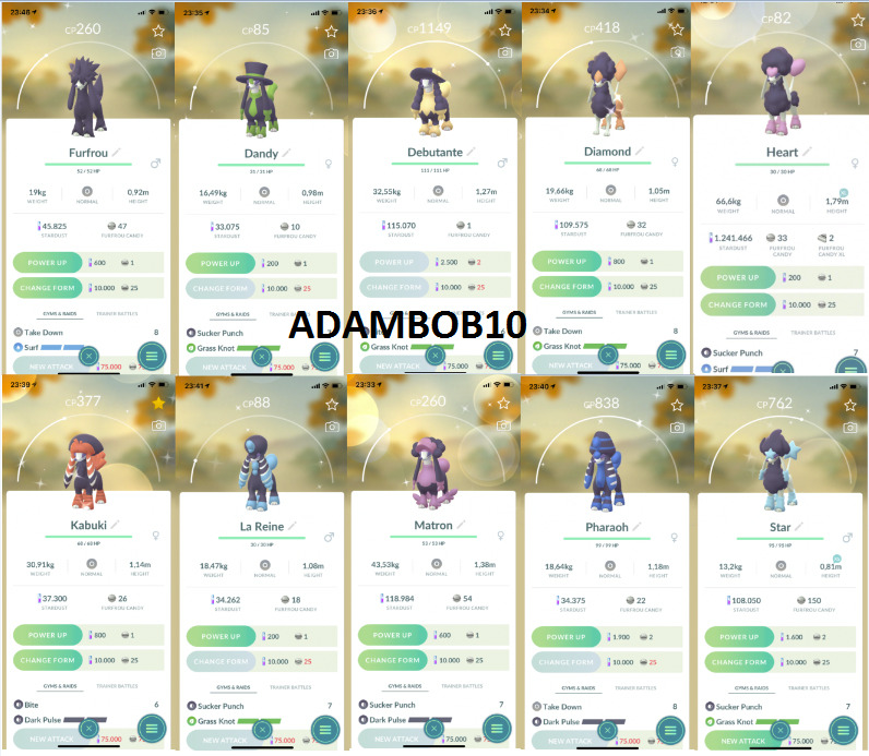 Viewing the Pokédex — Pokémon GO Help Center