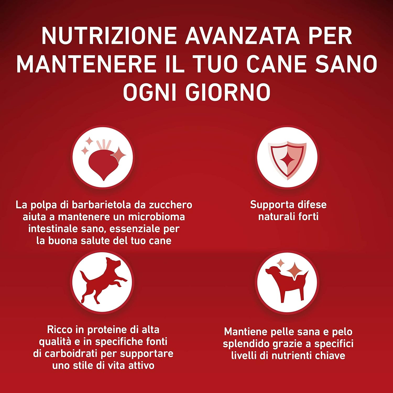 Mini Small Active Crocchette Pollo e Riso 8x800g | Energia e Salute - 2