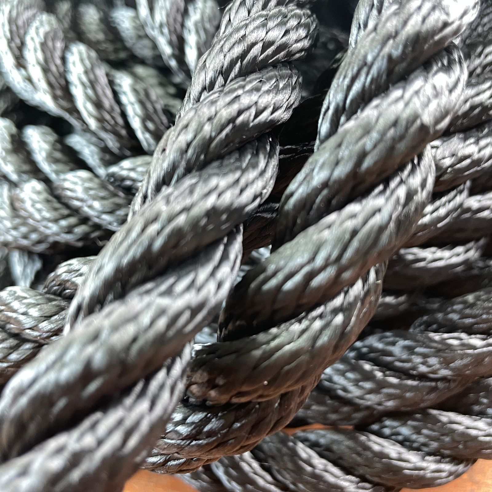 Picture 4 of 4
