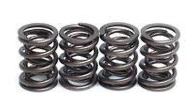 Kibblewhite Ventilfedernsatz Rotax 500/600, Kibblewhite 91-9401 Racing