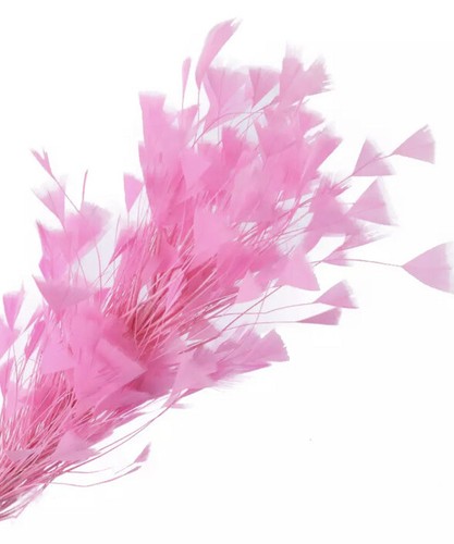 50pcs Pink 12-20cm Stripped Turkey Feathers DIY Craft Cake Millinery Fascinator - Picture 2 of 2