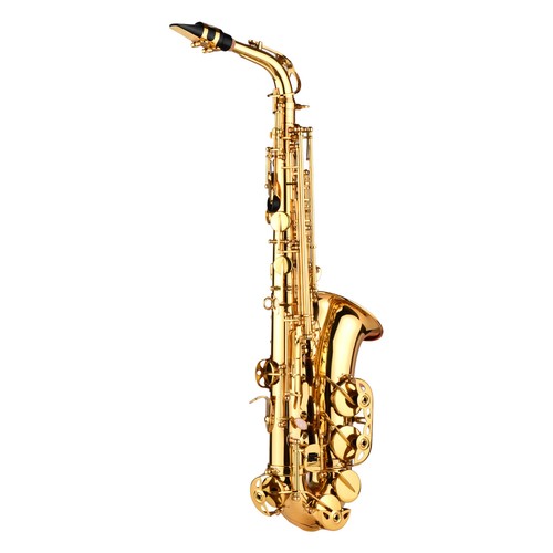 Eb Alto Saxophone Brass Gold Lacquer Alto Sax Wind Instrument w/ Carry Case Y0O0 - Picture 6 of 9