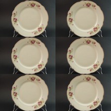 ANTICO RARO LIMOGES SERVIZIO 6 PIATTI PIANI PORCELLANA FINE 800 BOUQUET DI ROSE