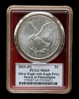 2025-(P) One Ounce American Silver Eagle * PCGS MS69 * EAGLE PRIVY PHILADELPHIA