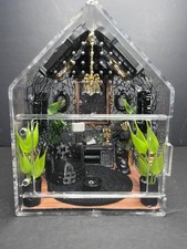 Black and gold gothic jumping spider house jumping spider enclosure