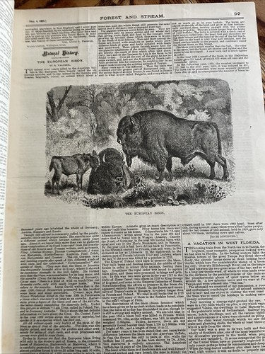 1892 Forest and Stream, January-December Bound Vols. XXVIII & XXXIX, Nos. 1-25 - Picture 5 of 12