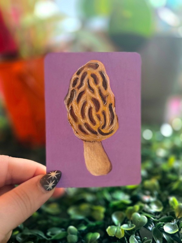 ACEO Original Morel Mushroom Acrylic Painting 12/13 Signed by Ziggy Sands