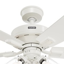 Hunter Fan 52 inch Fresh White Indoor Ceiling Fan with Light and Pull Chain