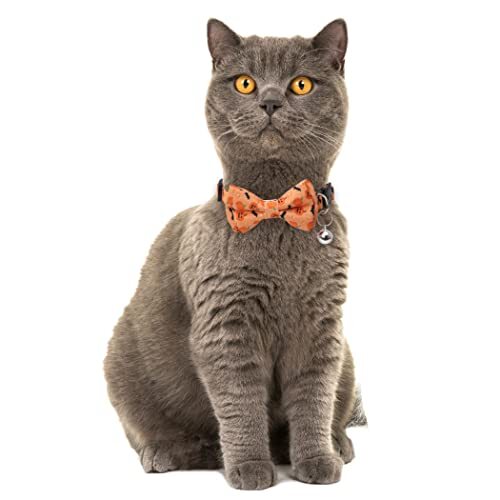 Halloween Cat Collar Breakaway with Cute Bow Tie and Bell for Orange+purple - Picture 5 of 5