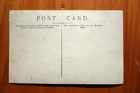 Jack Russell terrier and a puppy sit on bench with nattily dressed man postcard — photo 2