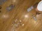 Mixed Lot Assorted Seashells Collection: Conch, Murex & Scallop Shells — photo 5