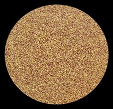 Weißklee Huia 500 g Kriech-Klee Saatgut Futterklee Bienenweide Kleesaat