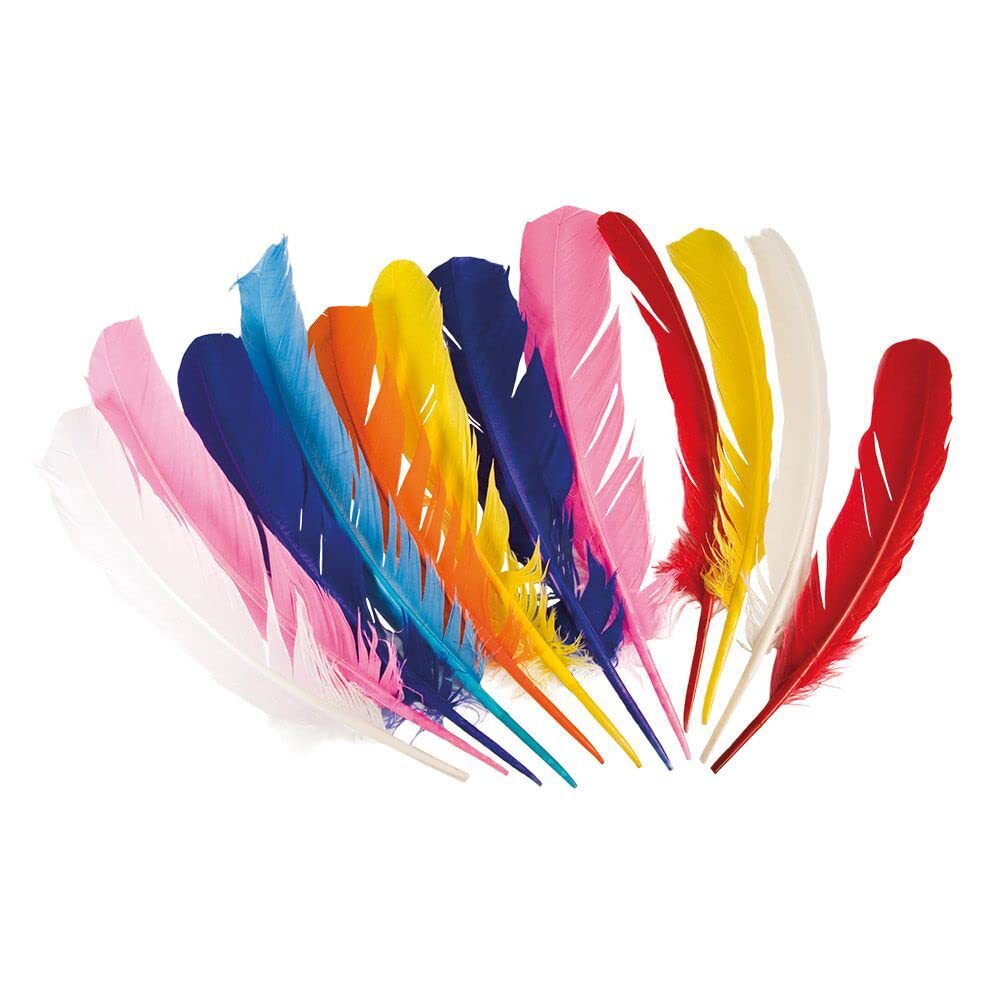 Boland 22320 44135 Native American Feathers Assorted Colours, Unisex Adult, 30 c