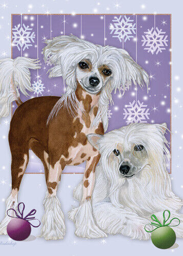 Chinese Crested Christmas Cards Set of 10 cards & 10 envelopes - Picture 1 of 1