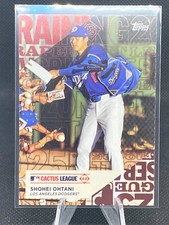 Christopher Morel [Holo Foil] #236 Prices | 2025 Topps | Baseball