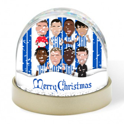 Brighton 2024-25 Weihnachten Schneekugel Weihnachtsdeko tolles Geschenk Möwen
