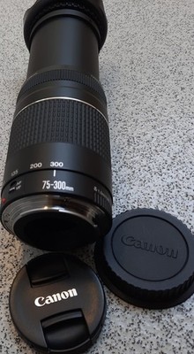 Canon EF 75-300mm f/4-5.6 Telezoomobjektiv, für - Canon Digitalkameras