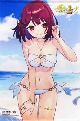 Sophie Original B2 Tapestry Switch Atelier Sophie 2 Sammler Geschenk