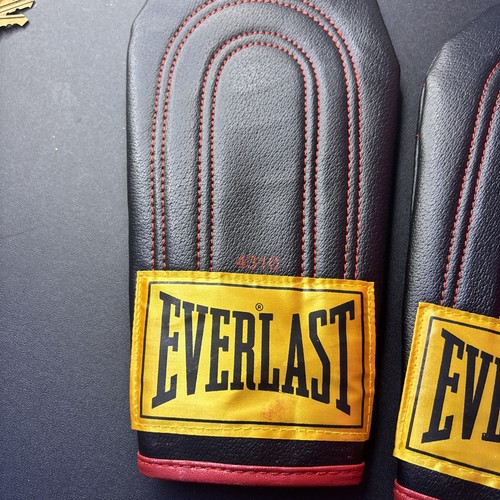Everlast #4310 Speed Bag Sparring Gloves 🥊 Punching Bag NIP Sugar Shane Mosley - Picture 4 of 7