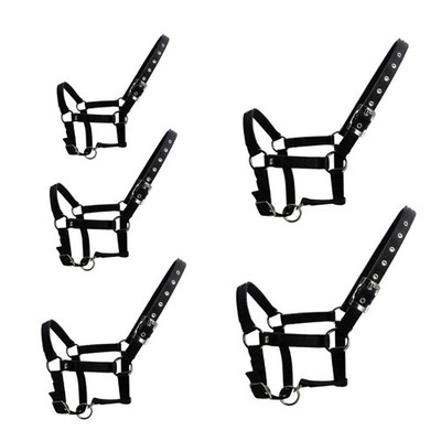 Thickened PP Webbing Horse Halter 25mm Width Thicken Horse Bridle Head Collar
