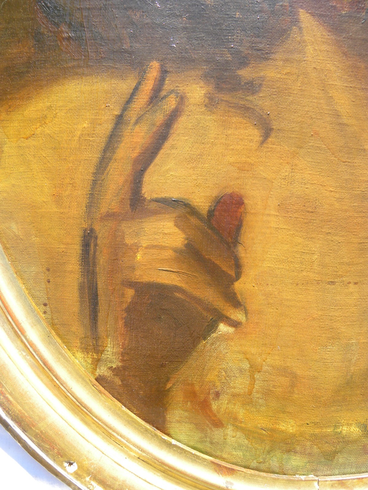 Picture 6 of 19