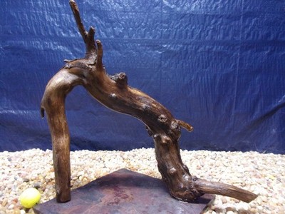 X-Large Driftwood Mounted on Slate 18''x19''x11'' Aquarium Reptile Natural Art
