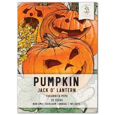 Jack O Lantern Pumpkin Seeds For Planting Cucurbita pepo 