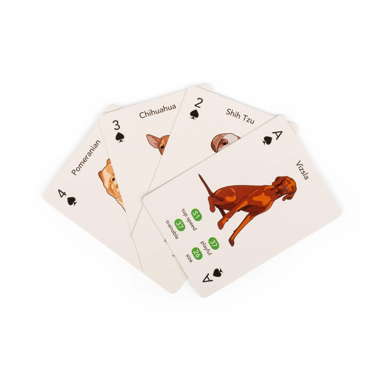 Kikkerland Paws - Play - Cartas de juego 9290₽