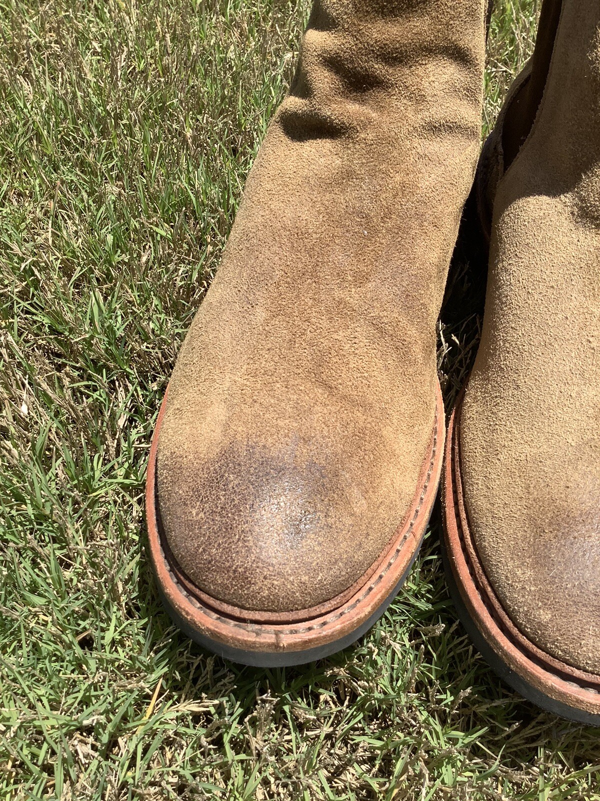 Picture 5 of 16