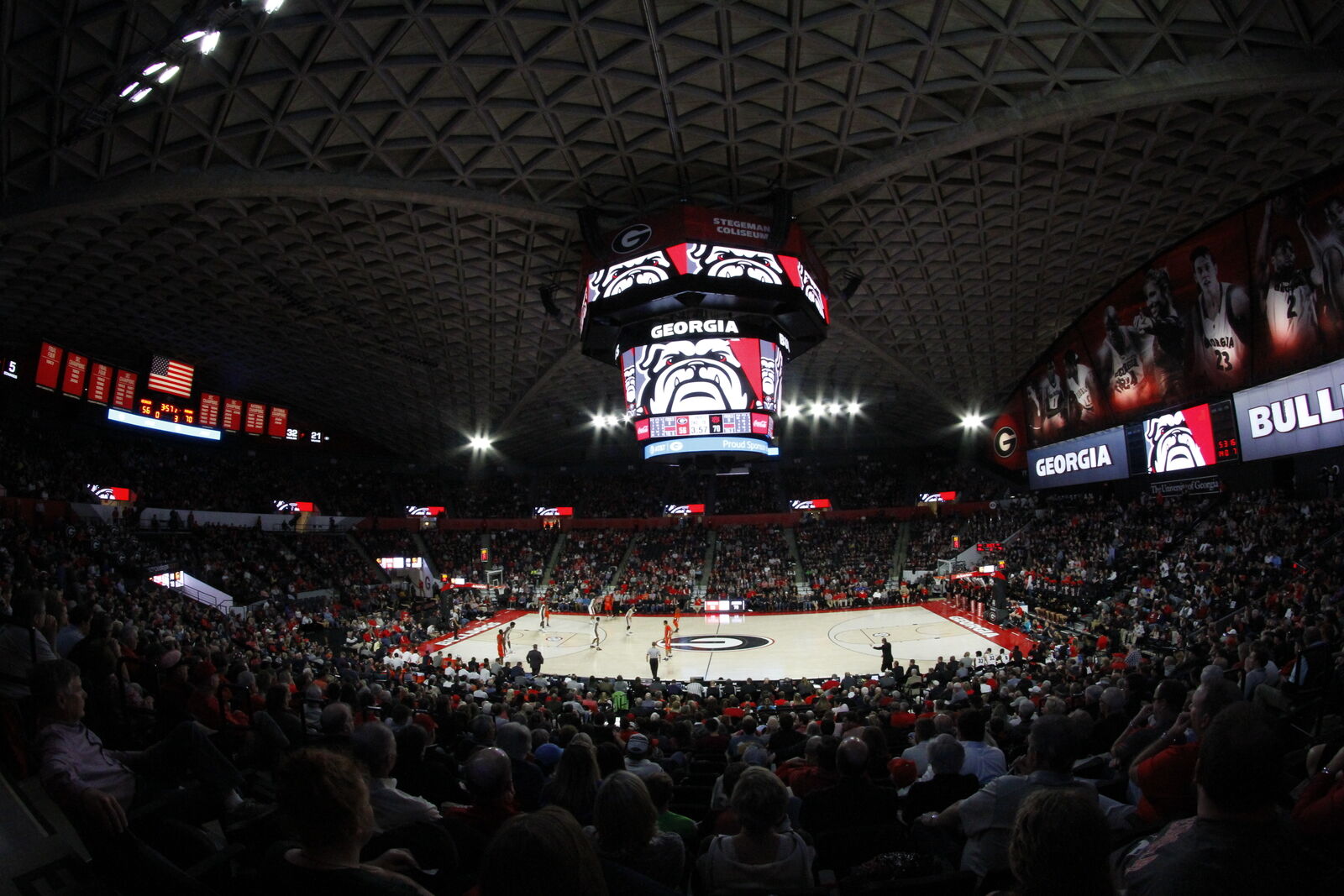 Stegeman Coliseum Seating Chart Gymnastics