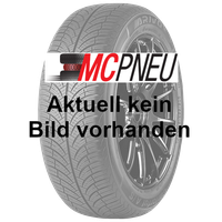 4X Sunny Ganzjahresreifen (1 Satz) 235/40 R19 TL 96Y NC501 ALL Season XL M+S