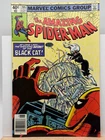 Amazing Spider-Man #205 (1980) - Newsstand - Spider-Man & Black Cat - VF