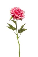 Artplants Kunstblume Pfingstrose Gavron, Rosa, 55Cm