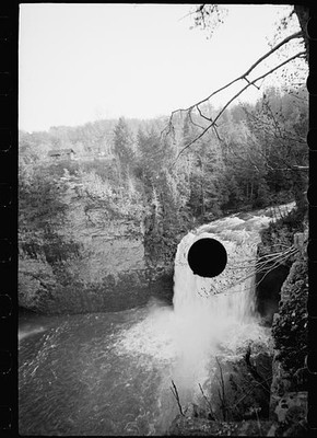 Photo:Waterfall Gorge Forest 1930s Black and White Landscape Photo