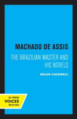 Machado De Assis: The Brazilian Master And His Novels