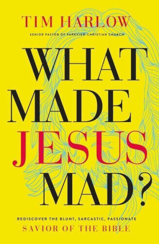 Thumbnail - What Made Jesus Mad?: Rediscover The Blunt, Sarcastic, Passionate