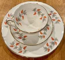 VTG CROWN STAFFORDSHIRE ORNAGE GRAPE CUP SAUCER SALAD/DESSERT PLATE