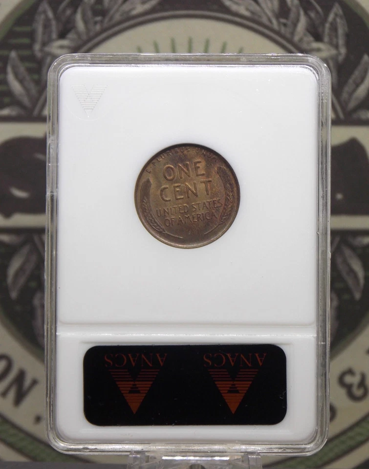 1909 "P" Lincoln WHEAT Cent Penny 1c ANACS MS65 RB #896 Red Brown Soapbox ECC&C - Image 4 of 4