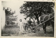 PHOTO ANCIENNE - VINTAGE SNAPSHOT - FERMIER PAYSAN CHARRUE CHEVAL - FARMER HORSE