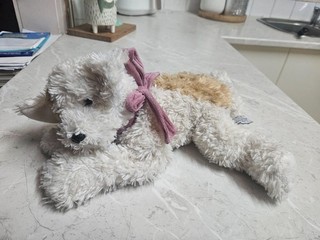 Settler Bear Sleeping Dog